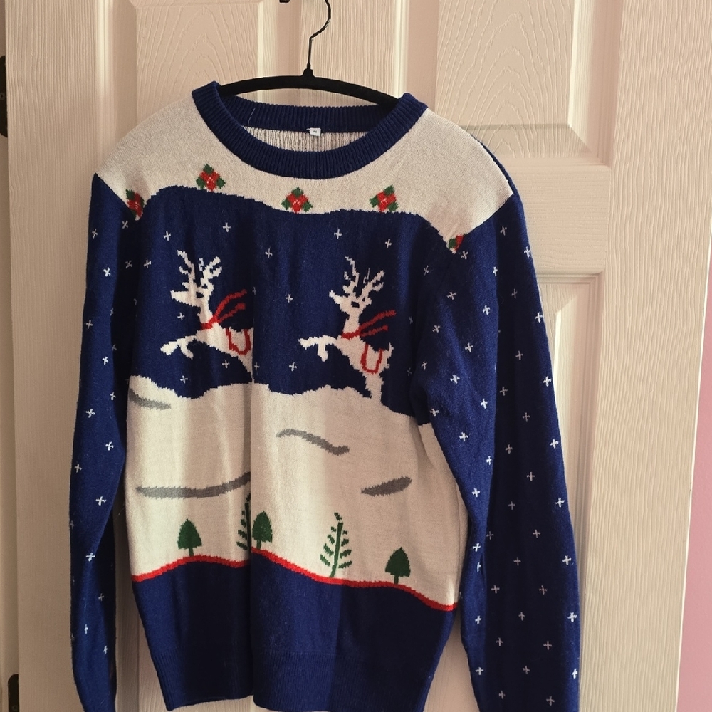 Festive Blue and White Reindeer‎ Sweater